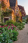 ASTHALL MANOR, OXFORDSHIRE: THE FRONT OF THE MANOR WITH ROSES, ROSA CECILE BRUNNER, PAEONIA KARL ROSENFIELD, VERBASCUMS, PATHS, SUNRISE