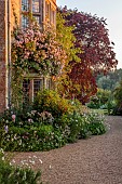 ASTHALL MANOR, OXFORDSHIRE: THE FRONT OF THE MANOR WITH ROSES, ROSA CECILE BRUNNER, PAEONIA KARL ROSENFIELD, ASTRANTIAS, PATHS, SUNRISE