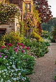 ASTHALL MANOR, OXFORDSHIRE: THE FRONT OF THE MANOR WITH ROSES, ROSA CECILE BRUNNER, PAEONIA KARL ROSENFIELD, OX EYE DAISIES, PATHS, SUNRISE