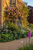 ASTHALL MANOR, OXFORDSHIRE: THE FRONT OF THE MANOR WITH ROSES, ROSA CECILE BRUNNER, ATRANTIAS, OX EYE DAISIES, FOXGLOVES, PATHS, SUNRISE