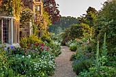 ASTHALL MANOR, OXFORDSHIRE: THE FRONT OF THE MANOR WITH ROSES, ROSA CECILE BRUNNER, ATRANTIAS, OX EYE DAISIES, FOXGLOVES, PATHS, SUNRISE, VERBASCUMS, PAEONIA KARL ROSENFIELD