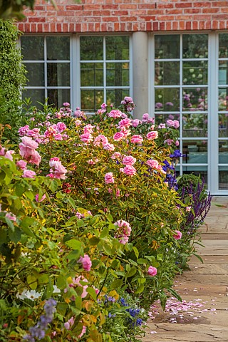 MORTON_HALL_GARDENS_WORCESTERSHIRE_PATH_IN_SOUTH_GARDEN_SUMMER_BORDERS_ROSES_PINK_FLOWERS__BLOOMS_OF