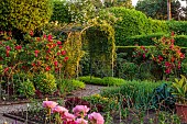 MORTON HALL GARDENS, WORCESTERSHIRE: KITCHEN GARDEN, POTAGER, RED FLOWERS, BLOOMS OF ROSES, ROSA JAMES MASON, GALLICA ROSE, SUMMER, FLOWERING, BLOOMING