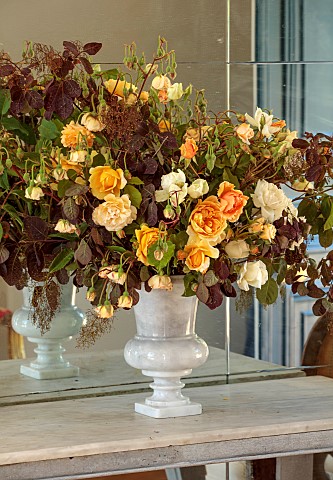 PRIVATE_GARDEN_DEDHAM_VALE_SUFFOLK_HALLWAY_ROSES_IN_SHADES_OF_APRICOT_ARRANGED_WITH_SMOKE_BUSH_COTIN