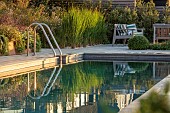 SEASIDE GARDEN , KENT: DESIGNER DECLAN BUCKLEY: VIEW ON TO DECKING, SWIMMING POOL, GRASSES, WOODEN BENCH, SEATING, CUSHIONS, AUGUST, SUNSET, REFLECTIONS, REFLECTED