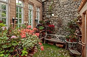 PATTHANA GARDEN, IRELAND: POTTING SHED, OUTBUILDING, GERANIUMS IN TERRACOTTA CONTAINERS, WOODEN BENCH, SEAT