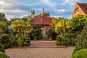 EAST RUSTON OLD VICARAGE GARDEN, NORFOLK: DUTCH GARDEN, AUGUST, GRAVEL, CLIPPED BOX SHAPES, DATURAS, BRUGMANSIA IN CONTAINERS
