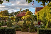 EAST RUSTON OLD VICARAGE GARDEN, NORFOLK: DUTCH GARDEN, AUGUST, GRAVEL, CLIPPED BOX PARTERRE, CLIPPED TOPIARY KING HOLLY, BRUGMANSIA IN CONTAINERS