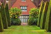 EAST RUSTON OLD VICARAGE GARDEN, NORFOLK: THE KINGS WALK, AUGUST, YEW OBELISKS, BRUGMANSIA IN CONTAINERS, LAWN