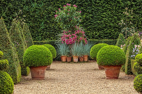EAST_RUSTON_OLD_VICARAGE_GARDEN_NORFOLK_THE_DUTCH_GARDEN_GRAVEL_AUGUST_CLIPPED_BOX_CONTAINERS_BY_HED