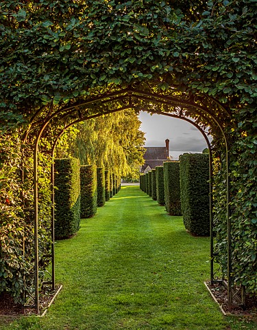 FOSCOTE_MANOR_BUCKINGHAMSHIRE_LAWN_DOVECOTE_CLIPPED_YEW_TOPIARY_AUGUST_EVENING_LIGHT_FORMAL_GARDEN