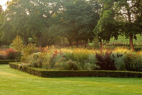 GRANTLEY_HALL_YORKSHIRE_LAWN_BOX_EDGED_BEDS_HEDGES_HEDGING_GRASSES_BORDERS_SEPTEMBER_MISCANTHUS_MORN