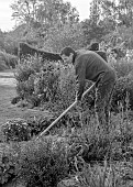 NORWELL NURSERIES, NOTTINGHAMSHIRE: BLACK AND WHITE PHOTOGRAPH OF OWNER OF NORWELL NURSERIES, ANDREW WARD