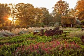 BROUGHTON GRANGE GARDENS, OXFORDSHIRE: FALL, AUTUMN, OCTOBER, PARTERRE, GRASSES, PATH, STIPA CALAMAGROSTIS, TREES, KALE SCARLET, CLIPPED YEW