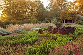 BROUGHTON GRANGE GARDENS, OXFORDSHIRE: FALL, AUTUMN, OCTOBER, PARTERRE, GRASSES, PATH, STIPA CALAMAGROSTIS, TREES, KALE SCARLET, CLIPPED YEW
