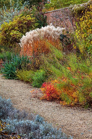 BROUGHTON_GRANGE_GARDENS_OXFORDSHIRE_AUTUMN_FALL_OCTOBER_YELLOW_RED_LEAVES_FOLIAGE_OF_EUPHORBIA_GRIF