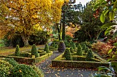 HERGEST CROFT GARDENS, HEREFORDSHIRE: THE SLATE GARDEN, FORMAL, KNOT GARDEN, CLIPPED TOPIARY BOX, BUXUS AND LONICERA NITIDA, SLATE SCULPTURE, AUTUMN COLOURS, NOVEMBER, FALL, AUTUMN