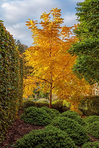 THE_OLD_VICARAGE_WORMINGFORD_ESSEX_DESIGNER_JEREMY_ALLEN_NOVEMBER_FALL_AUTUMN_ROUND_DOMES_OF_HEBE_RA