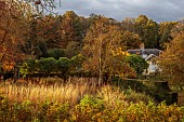THE OLD VICARAGE, WORMINGFORD, ESSEX: DESIGNER JEREMY ALLEN: NOVEMBER, FALL, AUTUMN, GRASSES, PERENNIALS IN THE TOP GARDEN, VICARAGE IN BACKGROUND, TREES