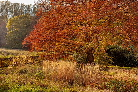 THE_OLD_VICARAGE_WORMINGFORD_ESSEX_DESIGNER_JEREMY_ALLEN_NOVEMBER_FALL_AUTUMN_GRASSES_PERENNIALS_IN_