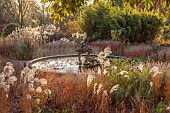 KNOLL GARDENS, DORSET: FALL, AUTUMN, WINTER, NOVEMBER, THE DRAGON GARDEN, GRASSES, MISCANTHUS, PANICUM, MOLINIA, POND, POOL, WATER, FOUNTAIN, DRAGON SCULPTURE BY SUSAN FORD