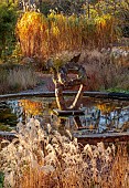 KNOLL GARDENS, DORSET: FALL, AUTUMN, WINTER, NOVEMBER, THE DRAGON GARDEN, GRASSES, MISCANTHUS, PANICUM, MOLINIA, POND, POOL, WATER, FOUNTAIN, DRAGON SCULPTURE BY SUSAN FORD