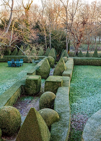 BECKLEY_PARK_OXFORDSHIRE_FROST_FROSTY_WINTER_HOUSE_CLIPPED_TOPIARY_HEDGES_HEDGING_BOX