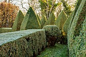 BECKLEY PARK, OXFORDSHIRE: FROST, FROSTY, WINTER, HOUSE, CLIPPED TOPIARY, HEDGES, HEDGING, BOX