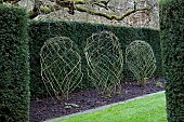 COTTESBROOKE HALL AND GARDENS, NORTHAMPTONSHIRE: WINTER, FEBRUARY, ROSES TRAINED BY JENNY BARNES, YEW HEDGES, HEDGING