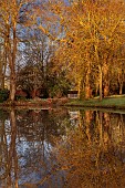 HORKESLEY HALL, ESSEX: FEBRUARY, WINTER, LAKE, REFLECTIONS, REFLECTED