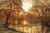 COTTESBROOKE HALL AND GARDENS, NORTHAMPTONSHIRE: THE MITCHELL BRIDGE, WATER, LAKE, SUNRISE, MARCH, SPRING