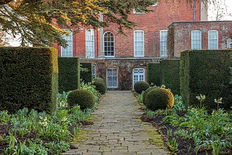 COTTESBROOKE_HALL_AND_GARDENS_NORTHAMPTONSHIRE_MARCH_SPRING_BORDERS_YEW_BUTTRESSES_FRITILLARIA_RADDE
