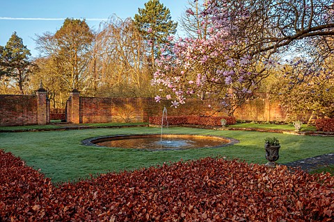 COTTESBROOKE_HALL_AND_GARDENS_NORTHAMPTONSHIRE_THE_POOL_GARDEN_FOUNTAIN_MARCH_SPRING_MAGNOLIA_X_LOEB