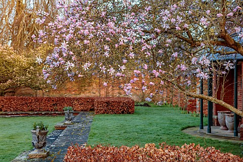 COTTESBROOKE_HALL_AND_GARDENS_NORTHAMPTONSHIRE_THE_POOL_GARDEN_FOUNTAIN_MARCH_SPRING_MAGNOLIA_X_LOEB
