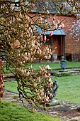 COTTESBROOKE HALL AND GARDENS, NORTHAMPTONSHIRE: THE POOL GARDEN, MARCH, SPRING, MAGNOLIA
