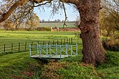 COLUMBINE HALL, SUFFOLK: MARCH, BLUE PAINTED BRIDGE BY GEORGE CARTER BESIDE TREE