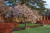 COTTESBROOKE HALL AND GARDENS, NORTHAMPTONSHIRE: MARCH, SPRING, THE POOL GARDEN, MAGNOLIA, LAWN