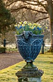 COTTESBROOKE HALL AND GARDENS, NORTHAMPTONSHIRE: MARCH, SPRING, CONTAINERS WITH NARCISSUS AND MUSCARI