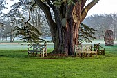 COTTESBROOKE HALL AND GARDENS, NORTHAMPTONSHIRE: MARCH, SPRING, SHEEP