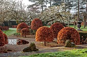 COTTESBROOKE HALL AND GARDENS, NORTHAMPTONSHIRE: SPRING, MARCH, CHERRY TREES, THE REFLECTING POOL, CLIPPED BEECH TOPIARY