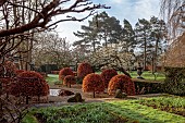 COTTESBROOKE HALL AND GARDENS, NORTHAMPTONSHIRE: SPRING, MARCH, CHERRY TREES, THE REFLECTING POOL, CLIPPED BEECH TOPIARY