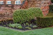 COTTESBROOKE HALL AND GARDENS, NORTHAMPTONSHIRE: SPRING, MARCH, ROSE TRAINED BY JENNY BARNES