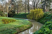 COTTESBROOKE HALL AND GARDENS, NORTHAMPTONSHIRE: SPRING, MARCH, THE WILD GARDEN, STREAM, SHUTTLECOCK FERNS, MATTEUCIA STRUTHIOPTERIS, WEEPING WILLOW