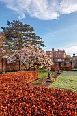 COTTESBROOKE HALL AND GARDENS, NORTHAMPTONSHIRE: MARCH, SPRING, THE POOL GARDEN, MAGNOLIA, LAWN