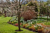 ASHWOOD NURSERIES, WEST MIDLANDS: JOHN MASSEY GARDEN, MARCH, DAFFODILS, AMELANCHIER, CANAL, LAWN
