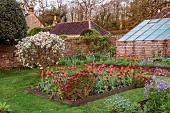 CAISSON GARDEN, SOMERSET: MARCH, WALLED GARDEN AND ORCHARD, ORNAMENTAL CUT FLOWER BEDS PLANTED WITH TULIPS, GREENHOUSES, BLOSSOM, TOPIARY MALUS EVERESTE