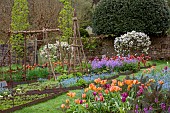 CAISSON GARDEN, SOMERSET: MARCH, WALLED GARDEN AND ORCHARD, ORNAMENTAL CUT FLOWER BEDS PLANTED WITH TULIPS, BLOSSOM, TOPIARY MALUS EVERESTE