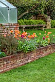 CAISSON GARDEN, SOMERSET: MARCH, WALLED GARDEN AND ORCHARD, ORNAMENTAL CUT FLOWER BEDS PLANTED WITH TULIPS, GREENHOUSES