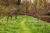 CAISSON GARDEN, SOMERSET: MARCH, WALLED GARDEN AND ORCHARD, MOWN PATHS THROUGH GRASS, MEADOW, ORNATE WOODEN CURVED SEAT, BENCH