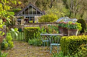 CAISSON GARDEN, SOMERSET: SPRING, MARCH, TERRACE WITH TABLE AND CHAIRS, WALL WITH TERRACOTTA CONTAINERS PLANTED WITH TULIP GAVOTA